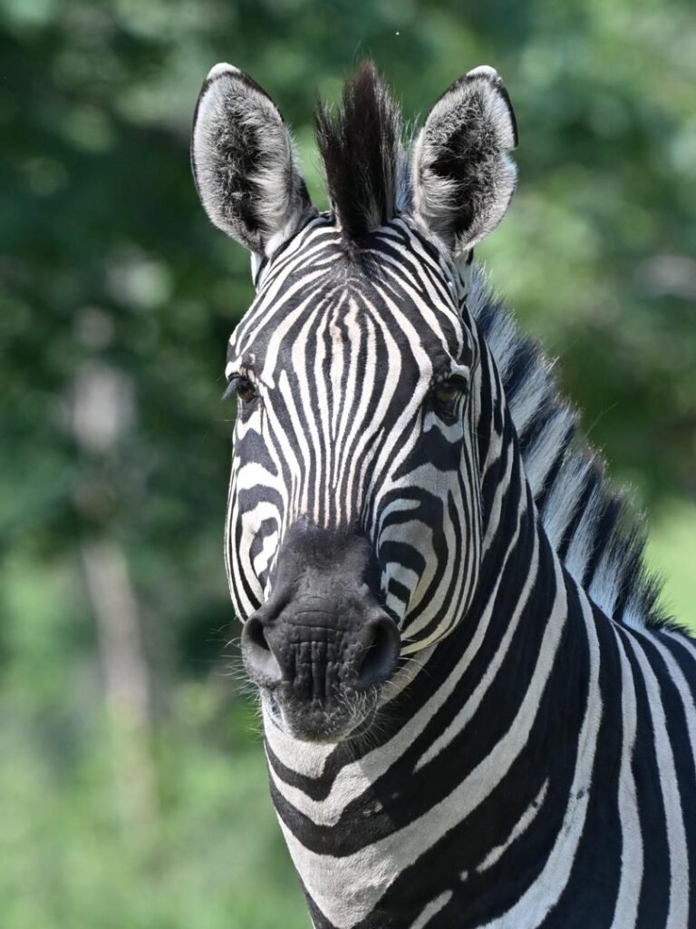 Botswana