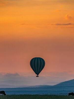 Bright sunset over mountains and hot air balloon flying above wild animals