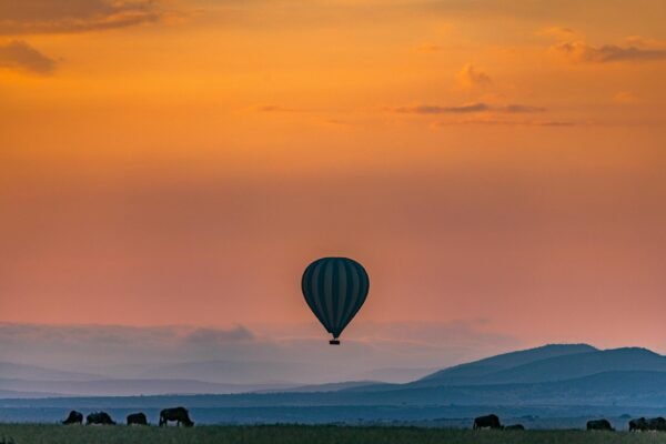 Bright sunset over mountains and hot air balloon flying above wild animals