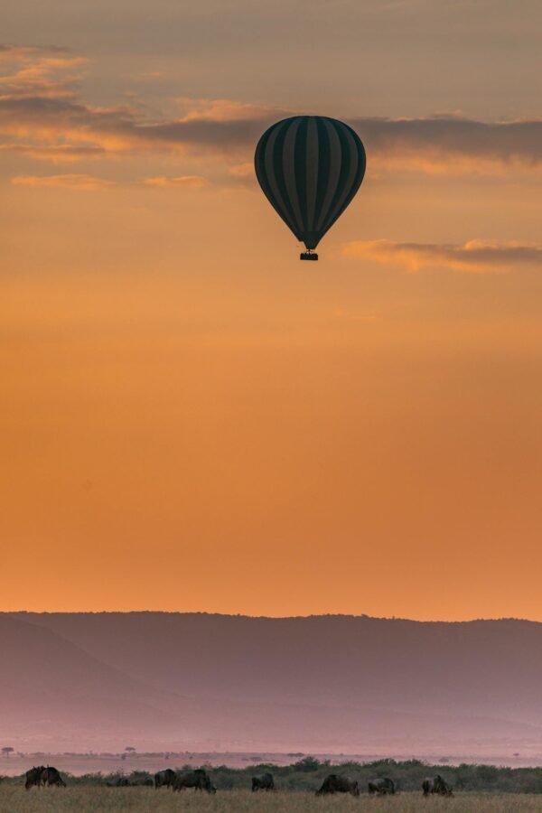 Hot air balloon flying above highlands with orange sunsets and wild animals