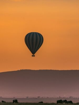 Wild herbivore animals grazing on grassy terrain near mountains against picturesque sunset sky with hot air balloon flying in national park Serengeti Tanzania Africa