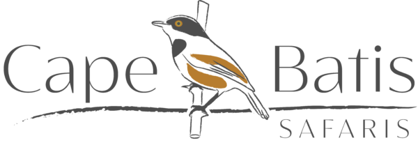 Cape Batis Safaris