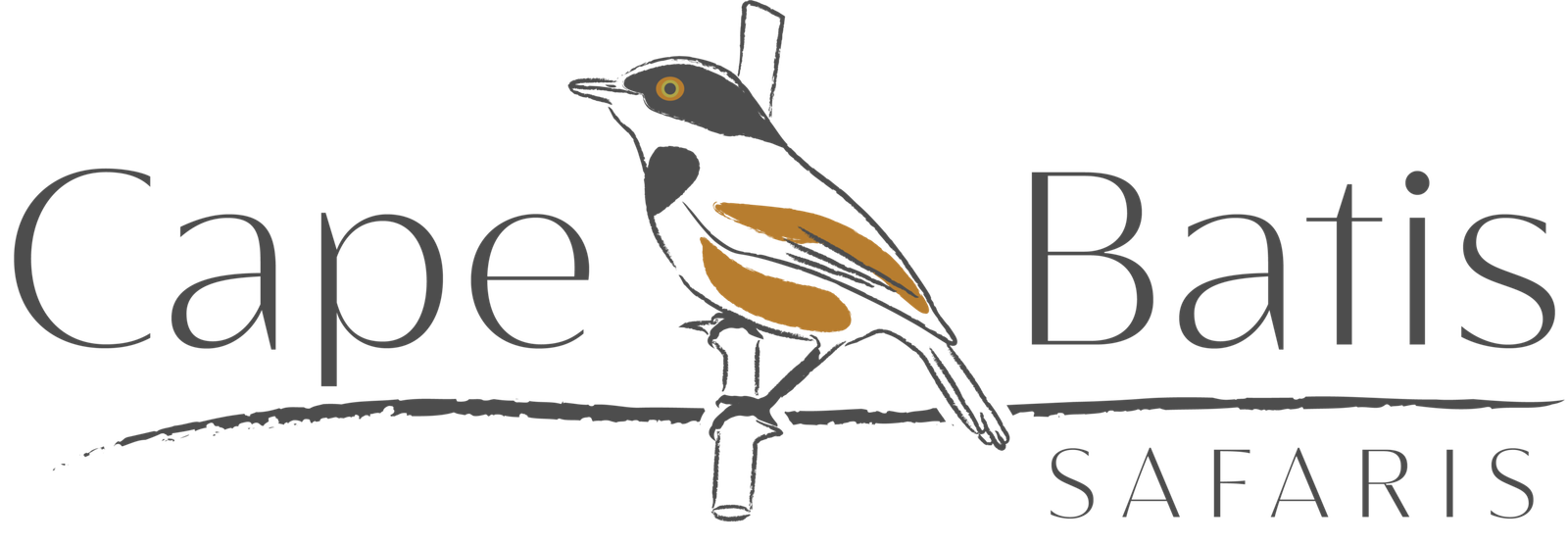 Cape Batis Safaris